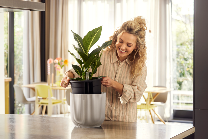 all-in-1 vibes rond 25 + swi 24 blanc lin